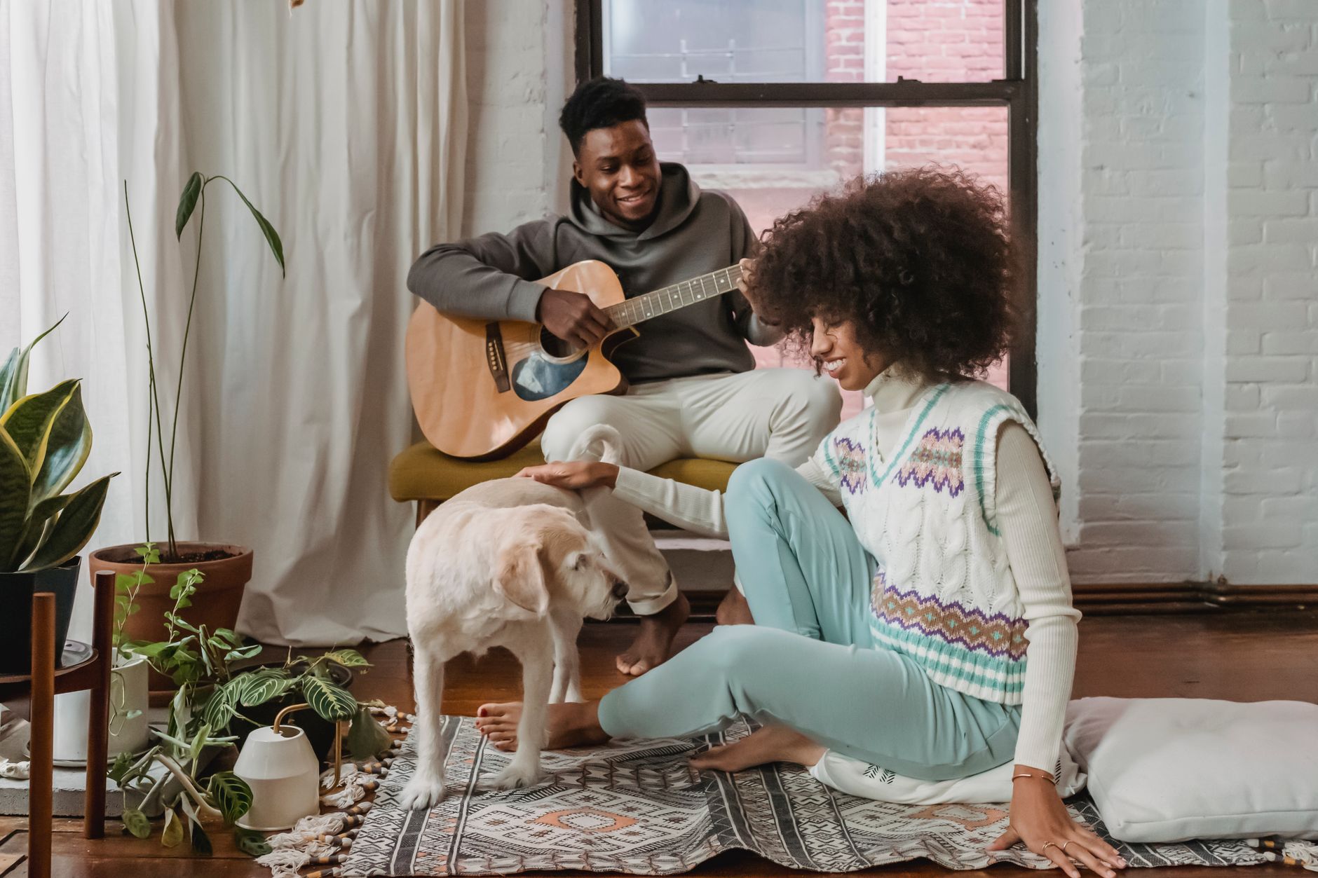 Apartman Yaşamına Uygun Kedi ve Köpek Irkları