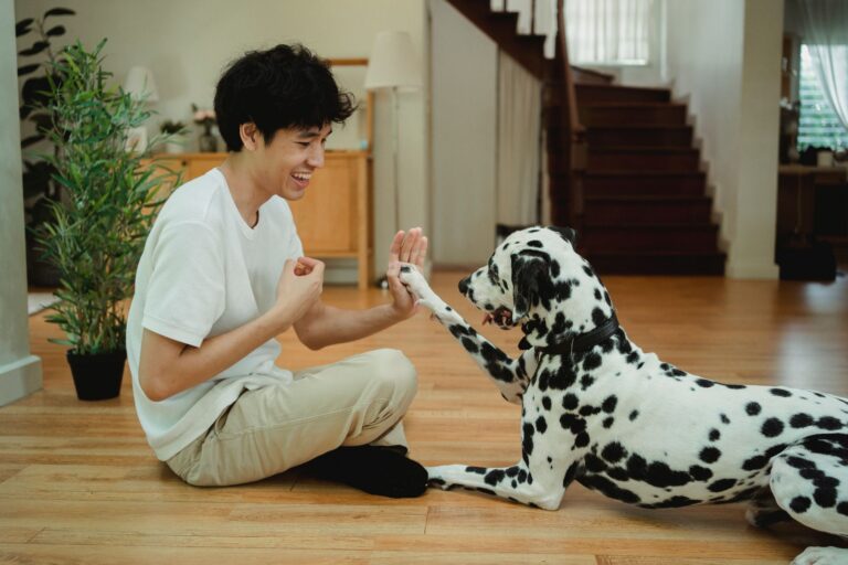 behavior dog 5482779