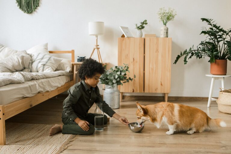 pet poisoning 5264088