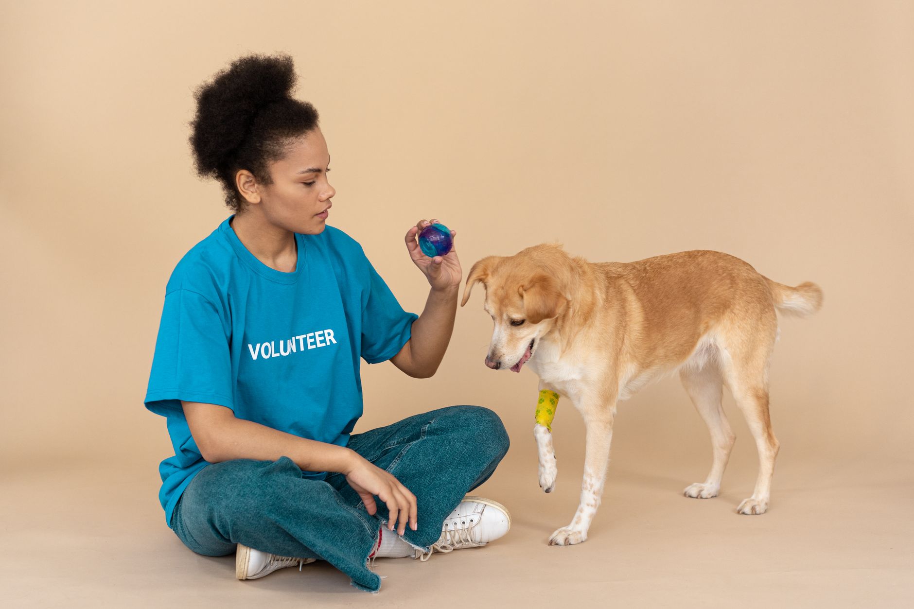 Mama Değiştirmeden Önce Mutlaka Veterinere Danışın