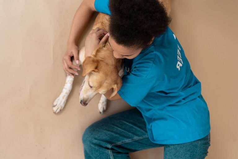 pet care 7474087
