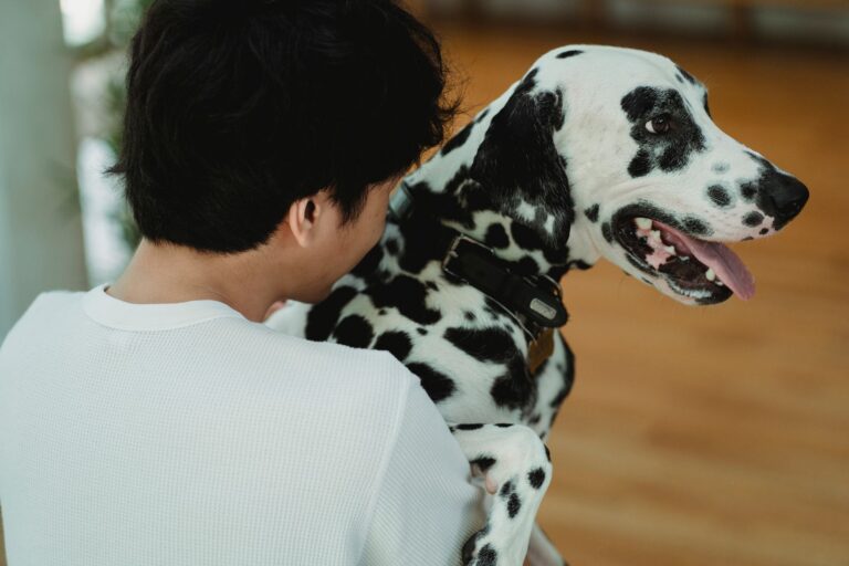 pet checkup 5482813