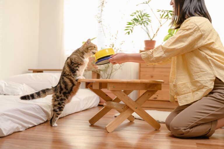 pet vitamins 16597601