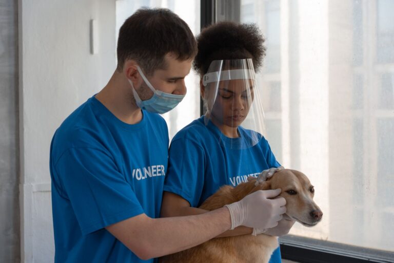 veterinarian appointment 7469221