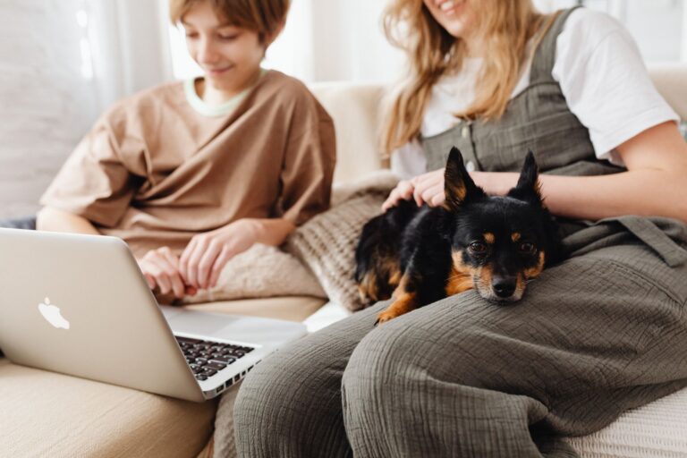 pet insurance 7693556